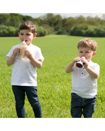 Embouts vissés Snack Spout x2 pour gourde Foodii Babymoov