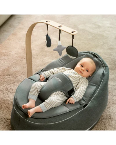 Seat'n Swing universal play arch Doomoo