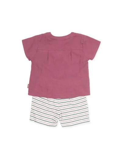 Ensemble 2 pièces t-shirt aubergine et short rayé P.Boogie Woogie garçon Tutto Piccolo