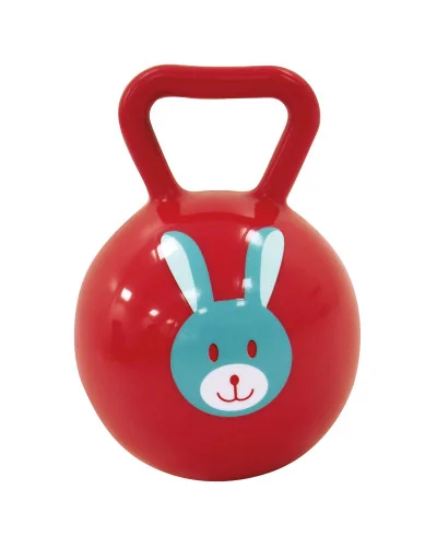 Assorted balls rattle for baby Ludi
