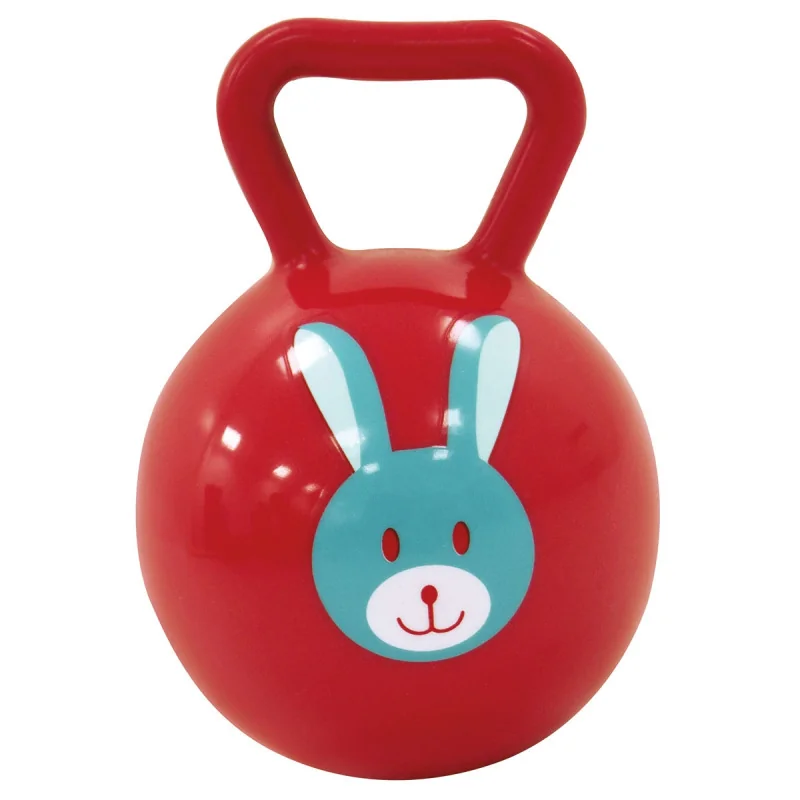 Assorted balls rattle for baby Ludi
