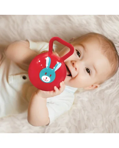Assorted balls rattle for baby Ludi