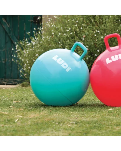 Ballon sauteur XXL bleu pour enfant Ludi