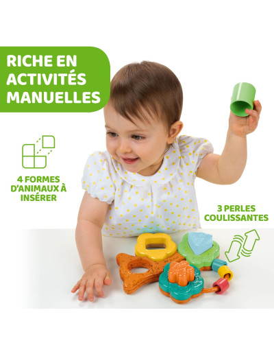 Baobab shape sorter toy Eco+ Chicco