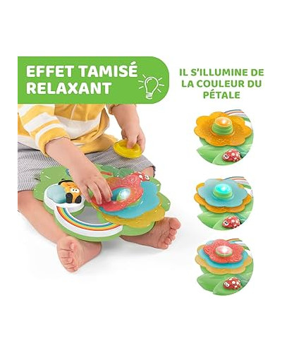 Sensory activity flower Chicco
