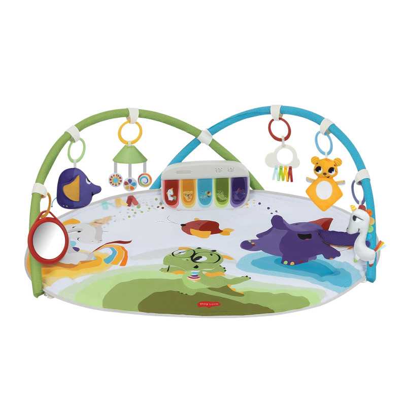3333120952 - TL Dynamic Gymini Born To Party