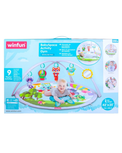 Winfun BabySpace Activity Gym baby play mat with arch, mirror and pillow