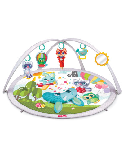 بساط نشاط BabySpace Activity Gym من Winfun مع قوس ومرآة ووسادة