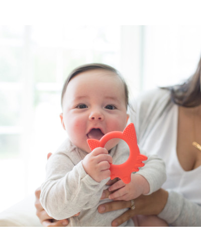 Dr. Brown's Flexees Friends Fox teether in red