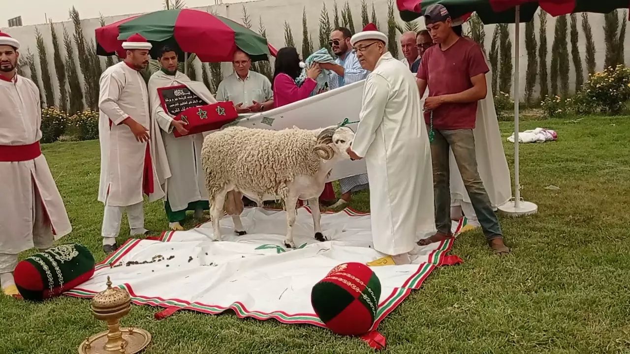 Cérémonie traditionnelle de l'aqiqa en famille, au jardin, avec les neggafas en tenue